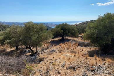 Agricultural Land Plot Sale - FARAKLATA, MUNICIPALITY OF ARGOSTOLI - SOUT