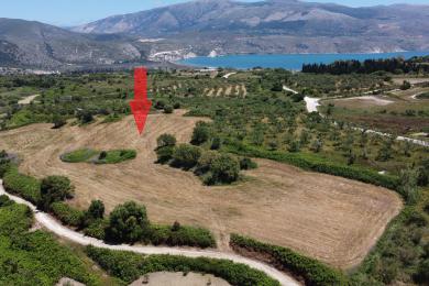 Agricultural Land Plot Sale - AGIA THEKLI, MUNICIPALITY OF PALIKI - WEST