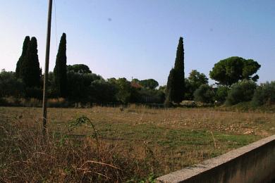 Land Sale - METAXATA, MUNICIPALITY OF LIVATHOS - SOUTH