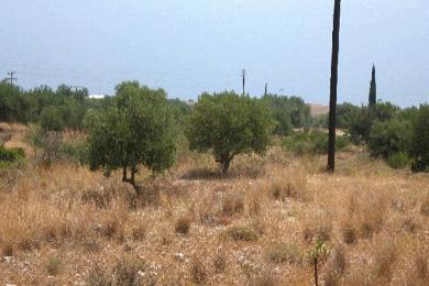 Agricultural Land Plot Sale - PLATIES, MUNICIPALITY OF ELIOS - SOUTHEAS