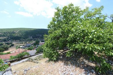 Terreno Vendita - VALSAMATA, COMUNE DI OMALA - CENTRO