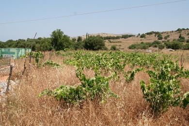 Terreno Vendita - RASATA, COMUNE DI ARGOSTOLI - SUDOVEST