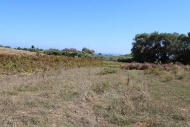 Agricultural Land Plot Sale - SKALA, MUNICIPALITY OF ELIOS - SOUTHEAS