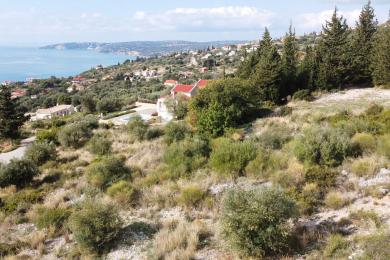 Agricultural Land Plot Sale - LOURDATA, MUNICIPALITY OF LIVATHOS - SOUTH