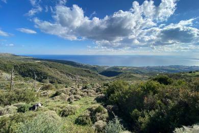 Agricultural Land Plot Sale - SKALA, MUNICIPALITY OF ELIOS - SOUTHEAS