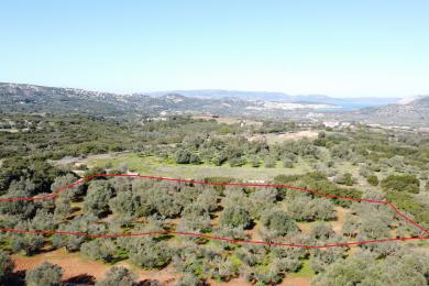 Agricultural Land Plot Sale - MAZARAKATA, MUNICIPALITY OF LIVATHOS - SOUTH