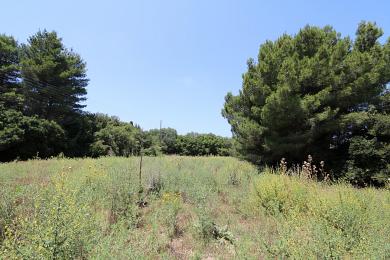 Agricultural Land Plot Sale - FOKATA, MUNICIPALITY OF LIVATHOS - SOUTH