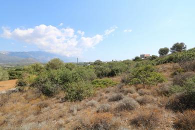 Agricultural Land Plot Sale - LAKITHRA, MUNICIPALITY OF LIVATHOS - SOUTH