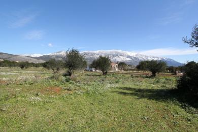 Land Sale - DORIZATA, MUNICIPALITY OF LIVATHOS - SOUTH