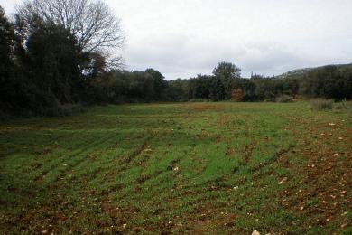 Terreno Vendita - TROIANATA, COMUNE DI ARGOSTOLI - SUDOVEST