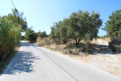 Land Sale - MANTZAVINATA, MUNICIPALITY OF PALIKI - WEST