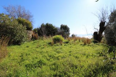 Land Sale - MAVRATA, MUNICIPALITY OF ELIOS - SOUTHEAS