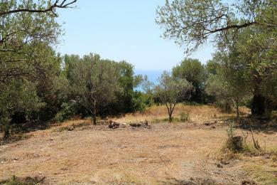 Agricultural Land Plot Sale - RATZAKLI, MUNICIPALITY OF ELIOS - SOUTHEAS