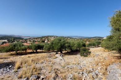 Terreno Vendita - FARAKLATA, COMUNE DI ARGOSTOLI - SUDOVEST