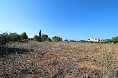 Agricultural Land Plot Sale - METAXATA, MUNICIPALITY OF LIVATHOS - SOUTH