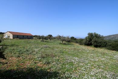 Agricultural Land Plot Sale - TRAVLIATA, MUNICIPALITY OF LIVATHOS - SOUTH