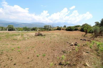 Land Sale - LAKITHRA, MUNICIPALITY OF LIVATHOS - SOUTH