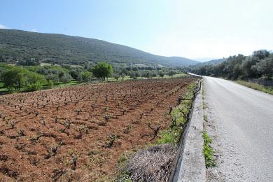 Agricultural Land Plot Sale - TROIANATA, MUNICIPALITY OF ARGOSTOLI - SOUT