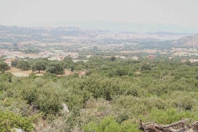 Agricultural Land Plot Sale - KOKYLIA, MUNICIPALITY OF ARGOSTOLI - SOUT