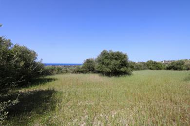 Agricultural Land Plot Sale - METAXATA, MUNICIPALITY OF LIVATHOS - SOUTH