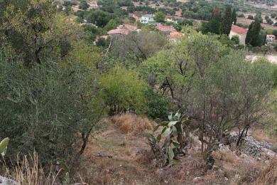 Land Sale - PROKOPATA, MUNICIPALITY OF ARGOSTOLI - SOUT