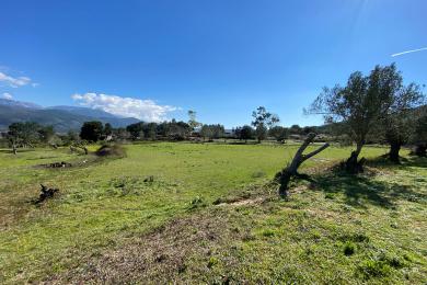 Agricultural Land Plot Sale - SPILIA, MUNICIPALITY OF ARGOSTOLI - SOUT