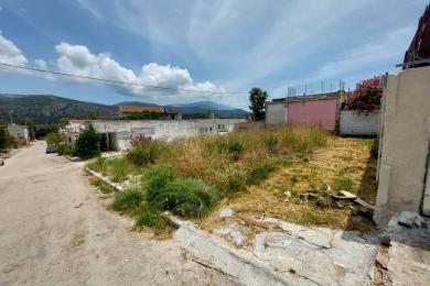 Land Sale - ARGOSTOLI, MUNICIPALITY OF ARGOSTOLI - SOUT