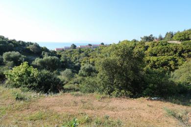 Agricultural Land Plot Sale - PESSADA, MUNICIPALITY OF LIVATHOS - SOUTH