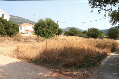 Land Sale - RAZATA, MUNICIPALITY OF ARGOSTOLI - SOUT