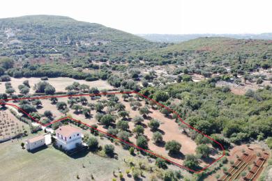 Agricultural Land Plot Sale - TROIANATA, MUNICIPALITY OF ARGOSTOLI - SOUT