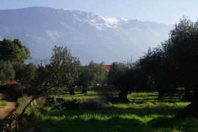 Terreno Vendita - PESSADA, COMUNE DI LIVATHOS - SUDOVEST