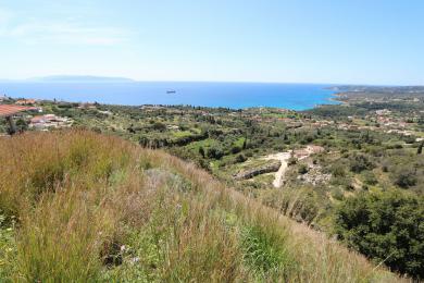 Agricultural Land Plot Sale - VLACHATA, MUNICIPALITY OF LIVATHOS - SOUTH