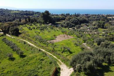 Agricultural Land Plot Sale - KOURKOUMELATA, MUNICIPALITY OF LIVATHOS - SOUTH