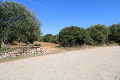 Agricultural Land Plot Sale - KERAMIES, MUNICIPALITY OF LIVATHOS - SOUTH