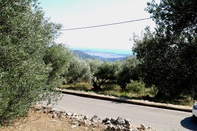 Land Sale - DILINATA, MUNICIPALITY OF ARGOSTOLI - SOUT