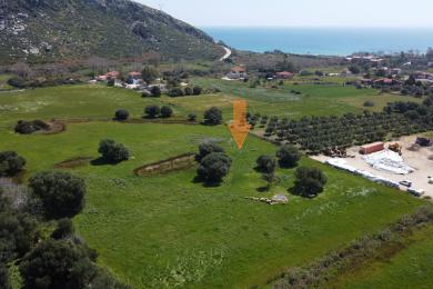 Agricultural Land Plot Sale - KATELIOS, MUNICIPALITY OF ELIOS - SOUTHEAS