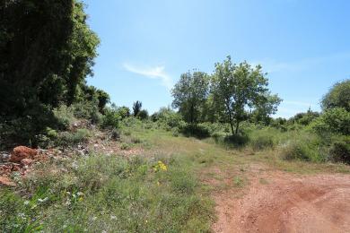 Agricultural Land Plot Sale - TOULIATA, MUNICIPALITY OF ERISSOS - NORTH