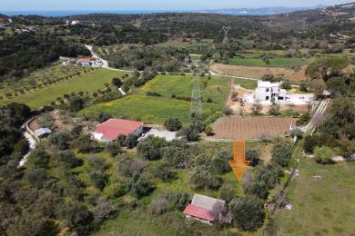 Agricultural Land Plot Sale - VALERIANOS, MUNICIPALITY OF ELIOS - SOUTHEAS