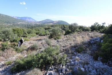 Agricultural Land Plot Sale - TROIANATA, MUNICIPALITY OF ARGOSTOLI - SOUT