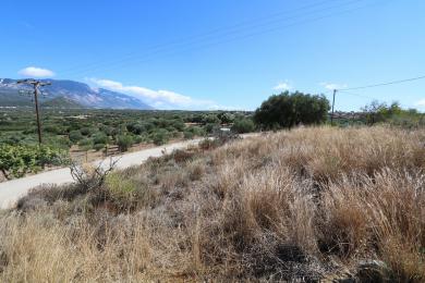 Land Sale - MENEGATA, MUNICIPALITY OF LIVATHOS - SOUTH