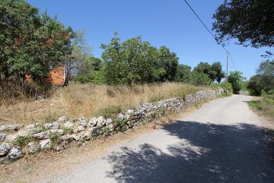 Land Sale - LAKITHRA, MUNICIPALITY OF LIVATHOS - SOUTH