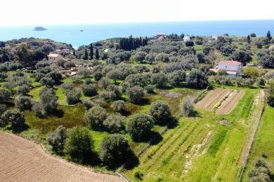 Agricultural Land Plot Sale - KALLIGATA, MUNICIPALITY OF LIVATHOS - SOUTH