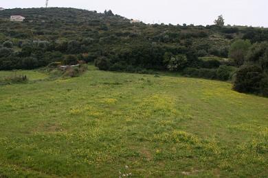 Agricultural Land Plot Sale - SPILIA, MUNICIPALITY OF ARGOSTOLI - SOUT