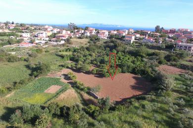 Land Sale - LAKITHRA, MUNICIPALITY OF LIVATHOS - SOUTH