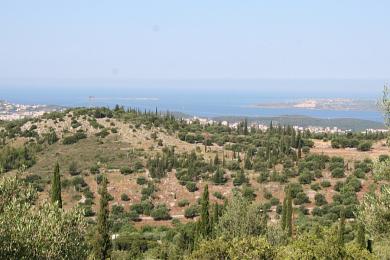 Land Sale - FARAKLATA, MUNICIPALITY OF ARGOSTOLI - SOUT