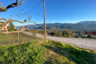 Land Sale - KOMBOTHEKRATA, MUNICIPALITY OF ARGOSTOLI - SOUT