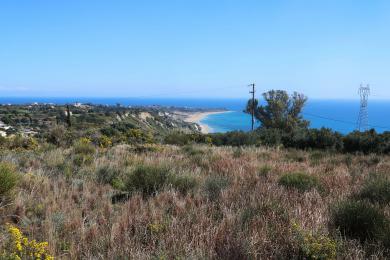 Agricultural Land Plot Sale - RATZAKLI, MUNICIPALITY OF ELIOS - SOUTHEAS