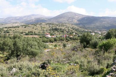 Terreno Vendita - RASATA, COMUNE DI ARGOSTOLI - SUDOVEST