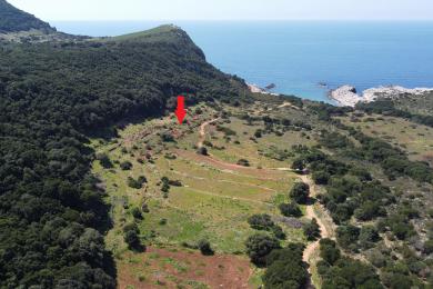 Agricultural Land Plot Sale - ATHERAS, MUNICIPALITY OF PALIKI - WEST