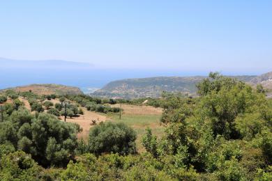 Agricultural Land Plot Sale - ALIMATAS, MUNICIPALITY OF ELIOS - SOUTHEAS